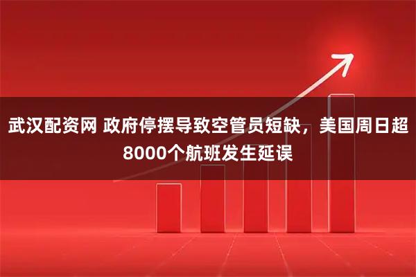 武汉配资网 政府停摆导致空管员短缺，美国周日超8000个航班发生延误