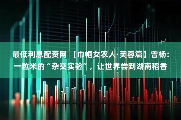 最低利息配资网 【巾帼女农人·芙蓉篇】曾杨：一粒米的“杂交实验”，让世界尝到湖南稻香